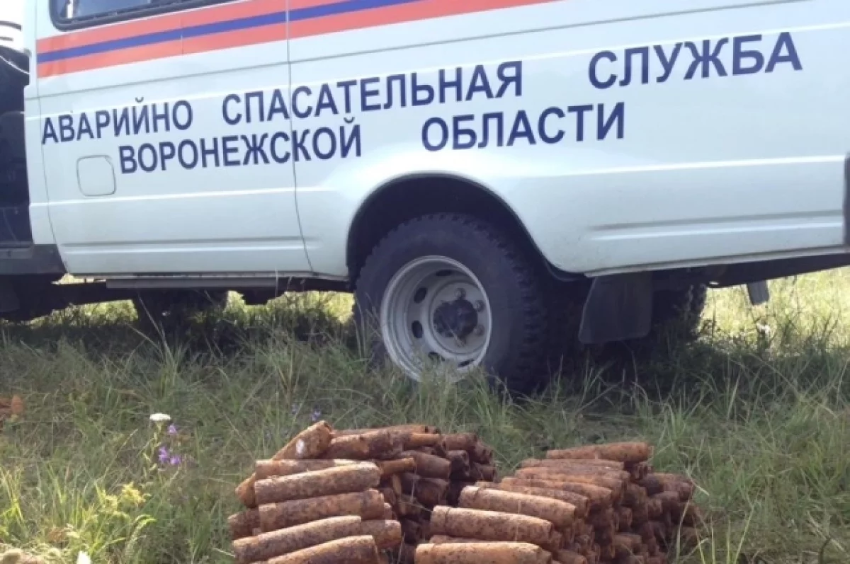Более 300 взрывоопасных предметов нашли на территории Воронежа