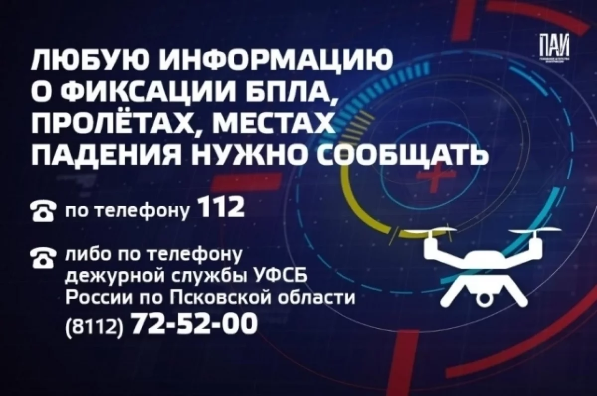 Несколько БПЛА противника уничтожили в небе над Псковской областью