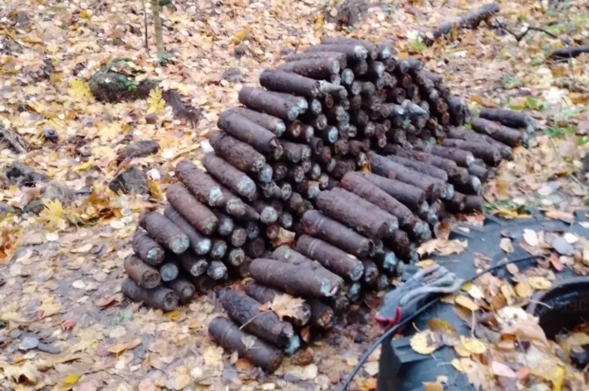 В Калужской области в лесу нашли склад с 237 артиллерийскими снарядами