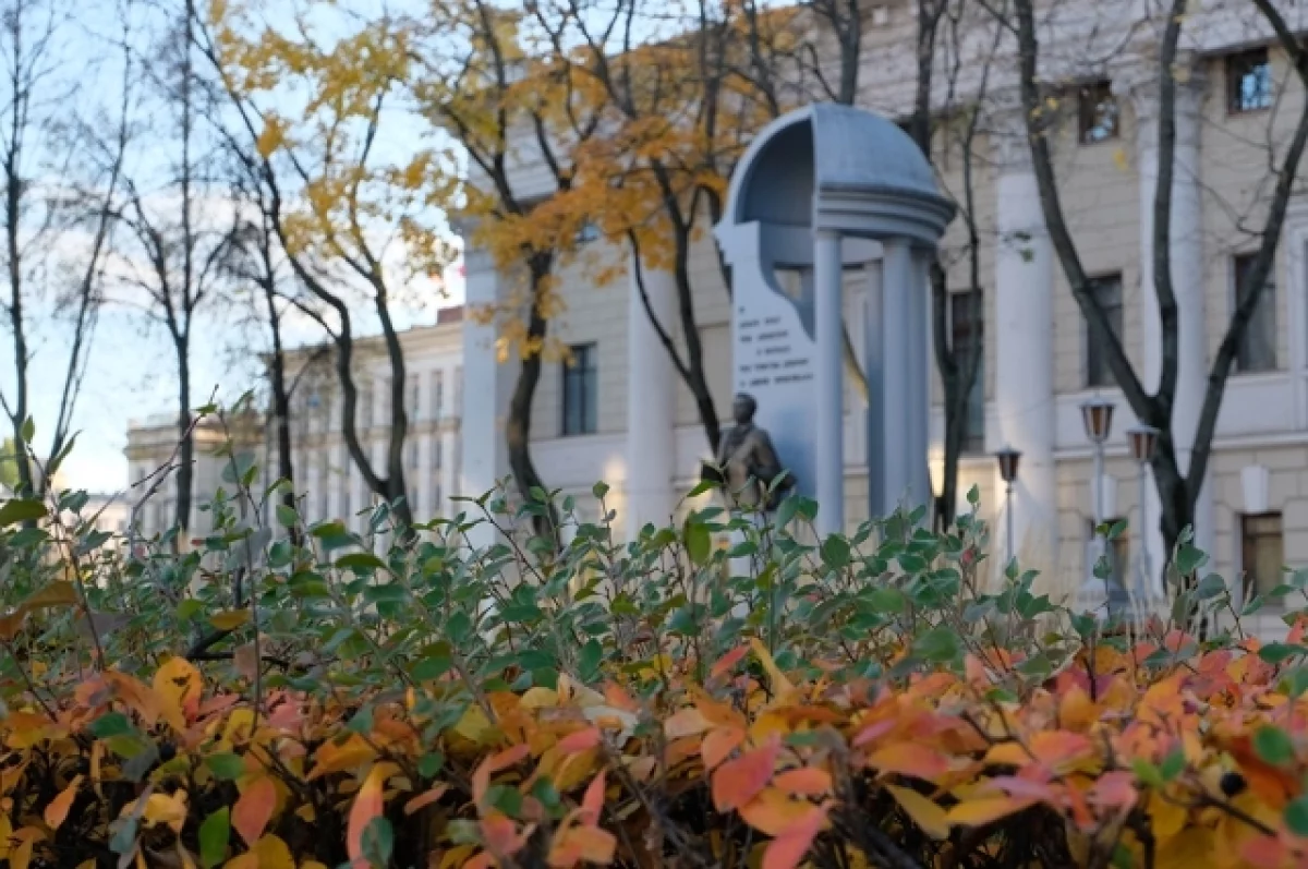 Как воронежцам провести выходные