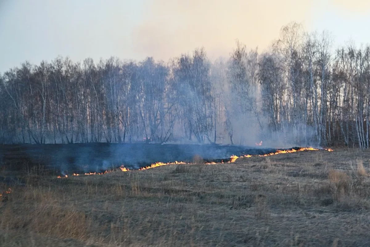 Пожароопасный сезон в Томской области завершили