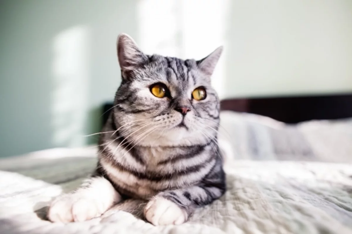 Фото