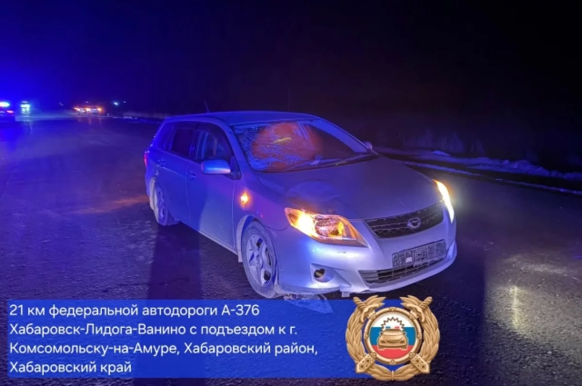 Пешеход погиб под колёсами Toyota на трассе Хабаровск — Ванино