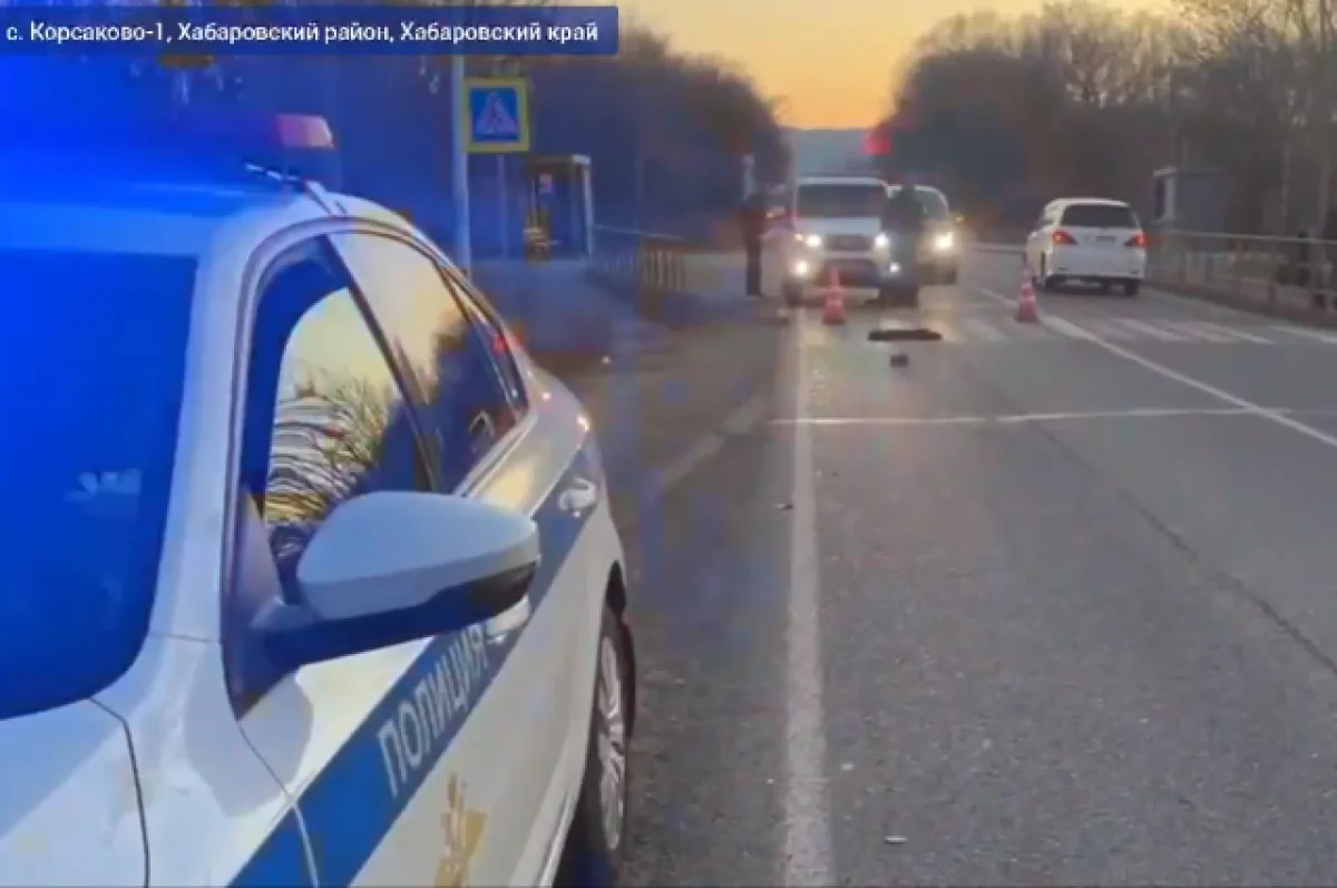 В Хабаровском районе прокуратура проверит «зебру», где сбили двух девочек