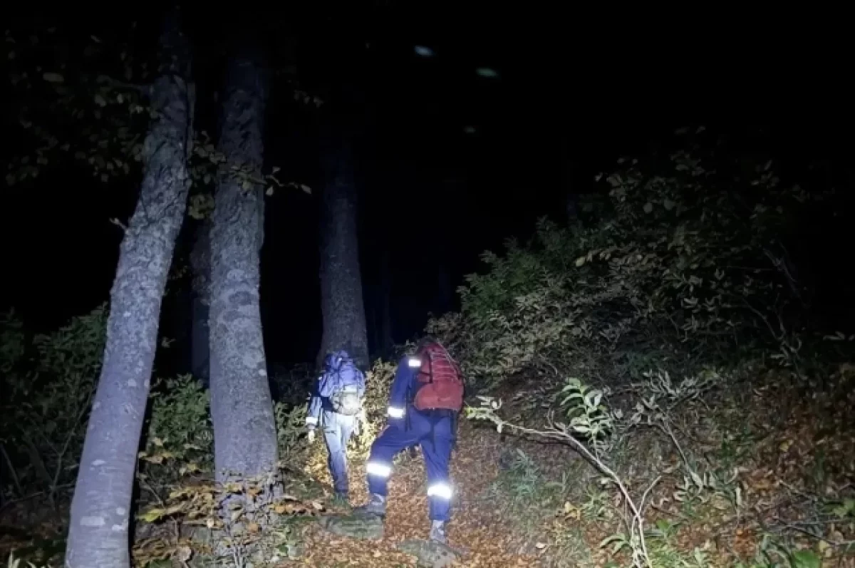 В горах Красной Поляны больше 27 часов спасали двух заблудившихся братьев