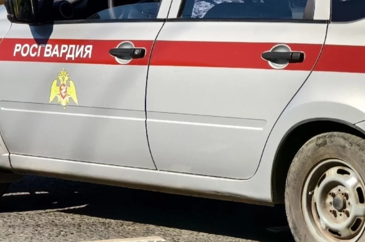 За неделю тульские росгвардейцы пресекли почти 50 правонарушений