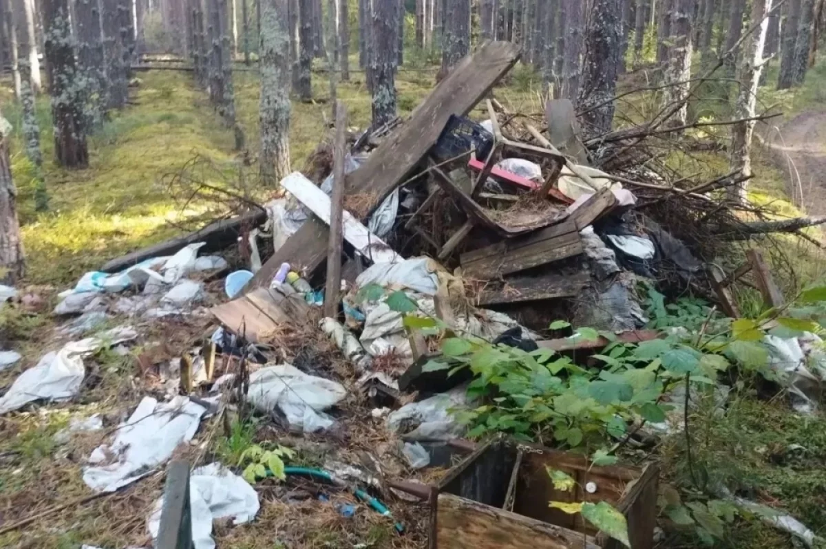 Прокуратура Селивановского района добилась ликвидации свалки в лесу
