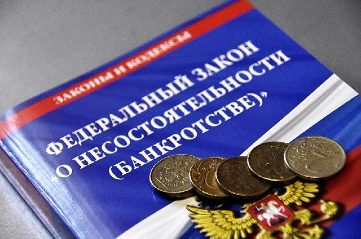 В Самаре для малого бизнеса могут ввести мораторий на банкротство