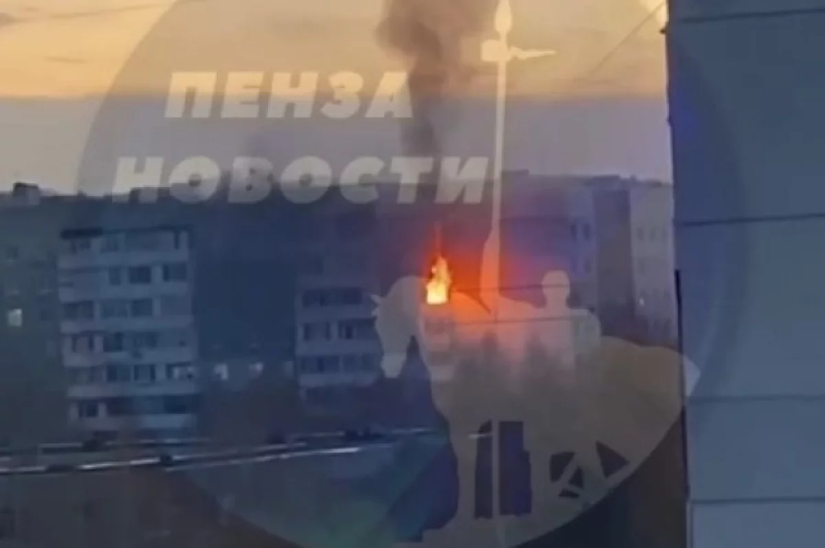 В Пензе из горящего дома на Ладожской спасено 3 человека