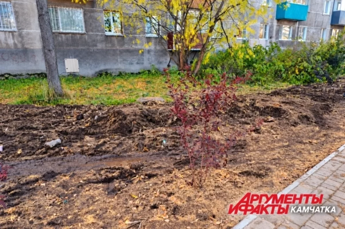 Жители Елизова пожаловались на недоделки на Аллее Доблести и Славы