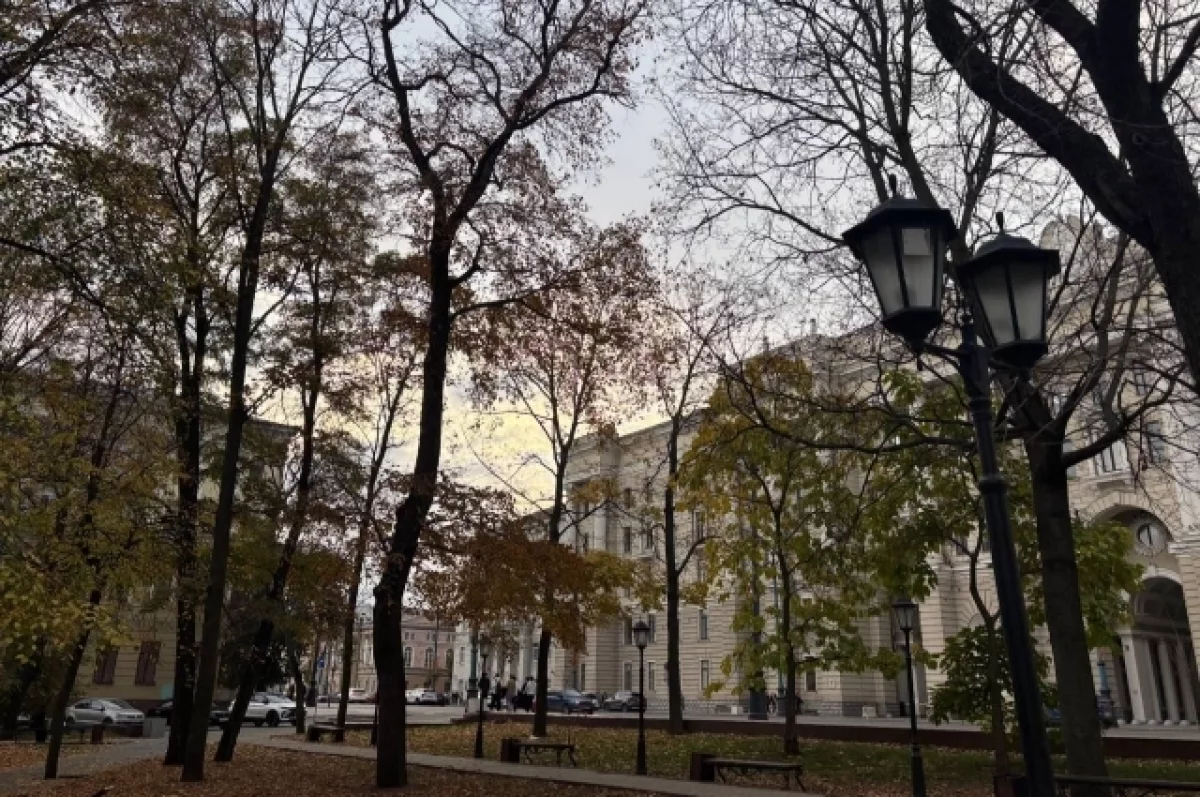 Синоптики рассказали, ждать ли воронежцам дождей на рабочей неделе