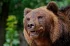 4e2846964791c615ce7ac37a7a3f60fc.webp