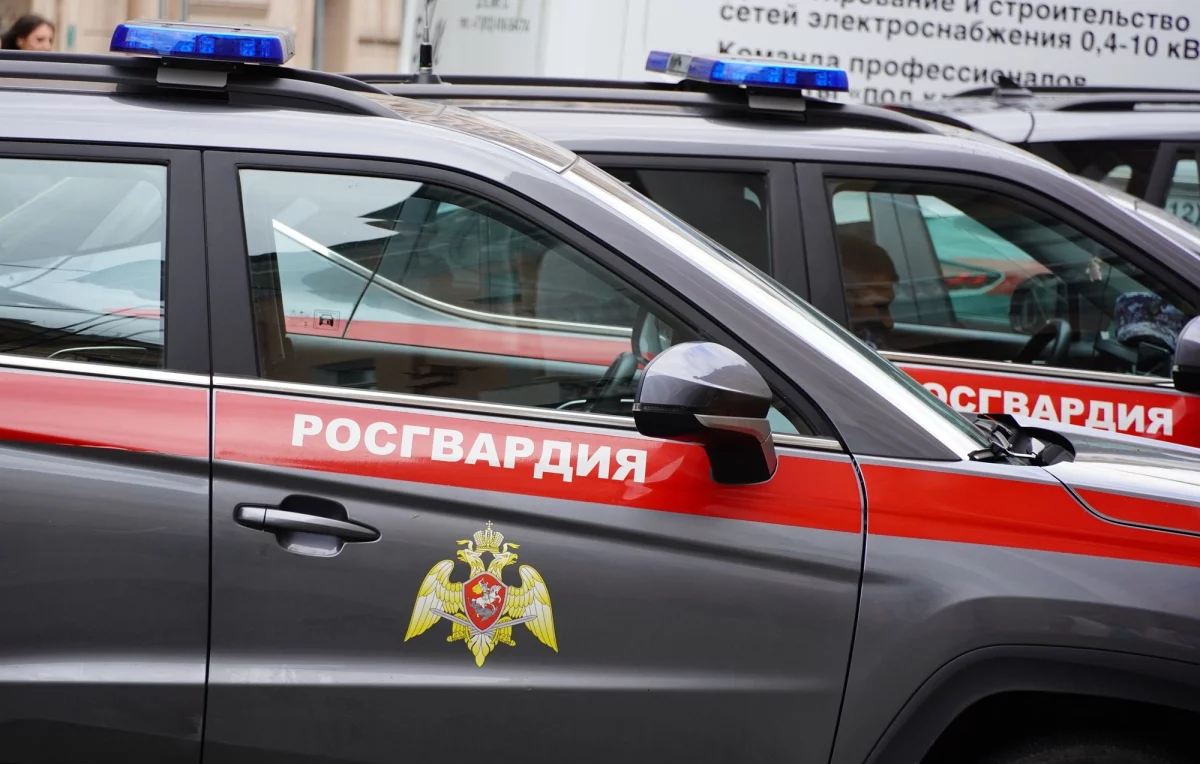 Псковские росгвардейцы задержали женщину за кражу 7 тысяч из кассы магазина