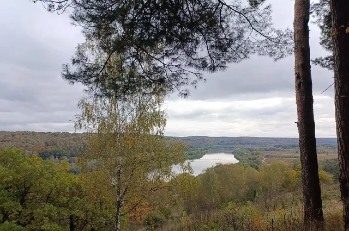 Качество атмосферного воздуха в Тульской области проверили более 750 раз
