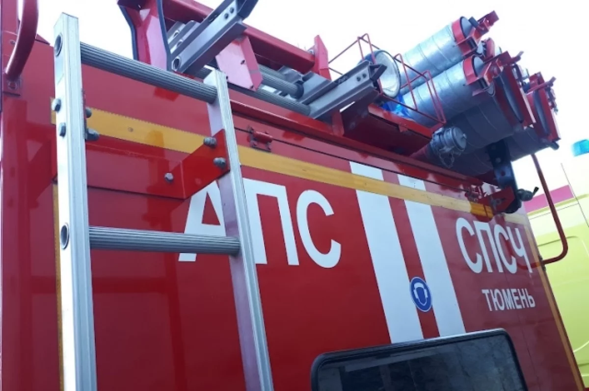 Пожарные в Тюменской области за сутки пять раз выезжали на возгорания