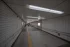 44425df8af3ddfdedbcf5f7b9ceeac48.webp