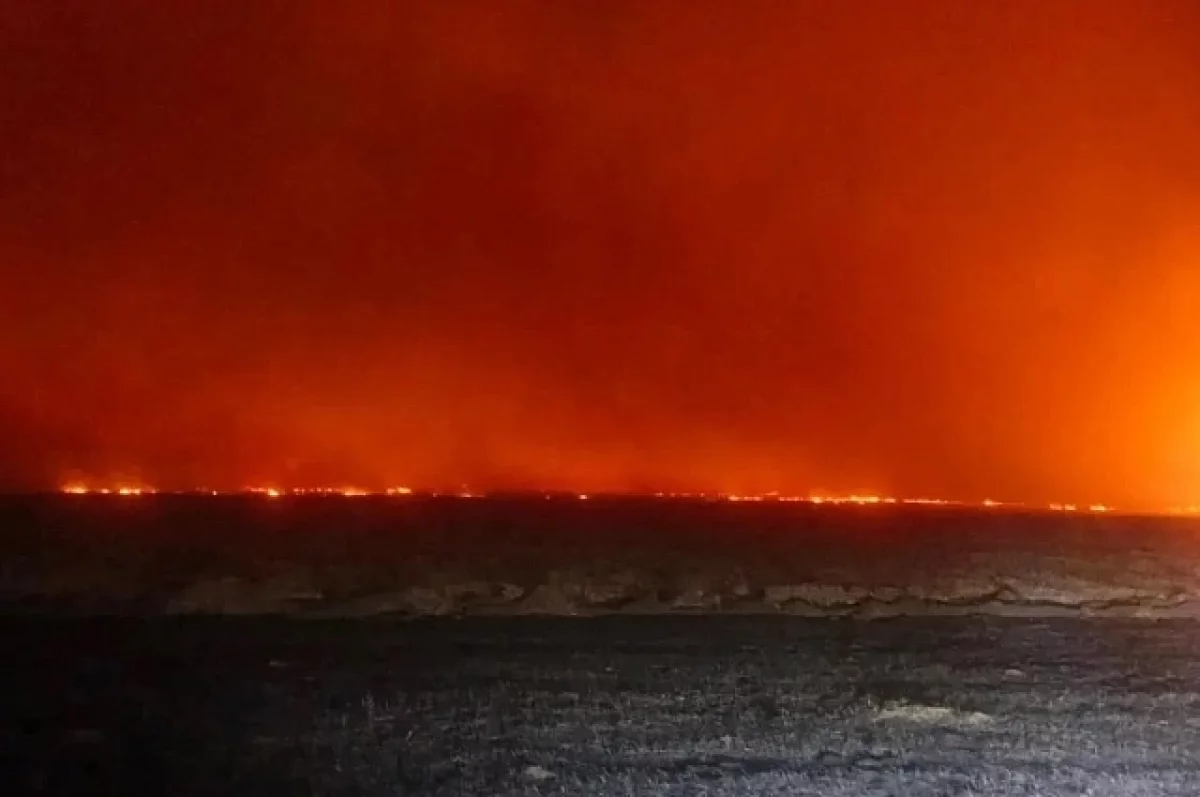 6 участков общей площадью более 19 га сгорели за сутки в Башкирии