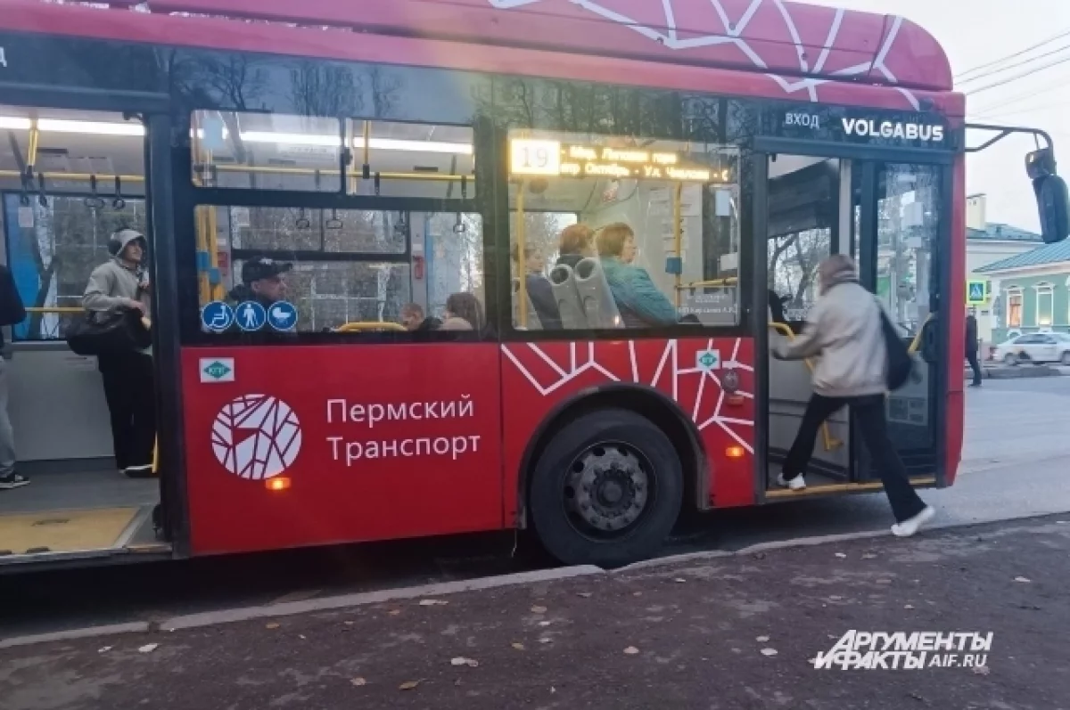 Водитель автобуса из Перми три года работал без отпуска