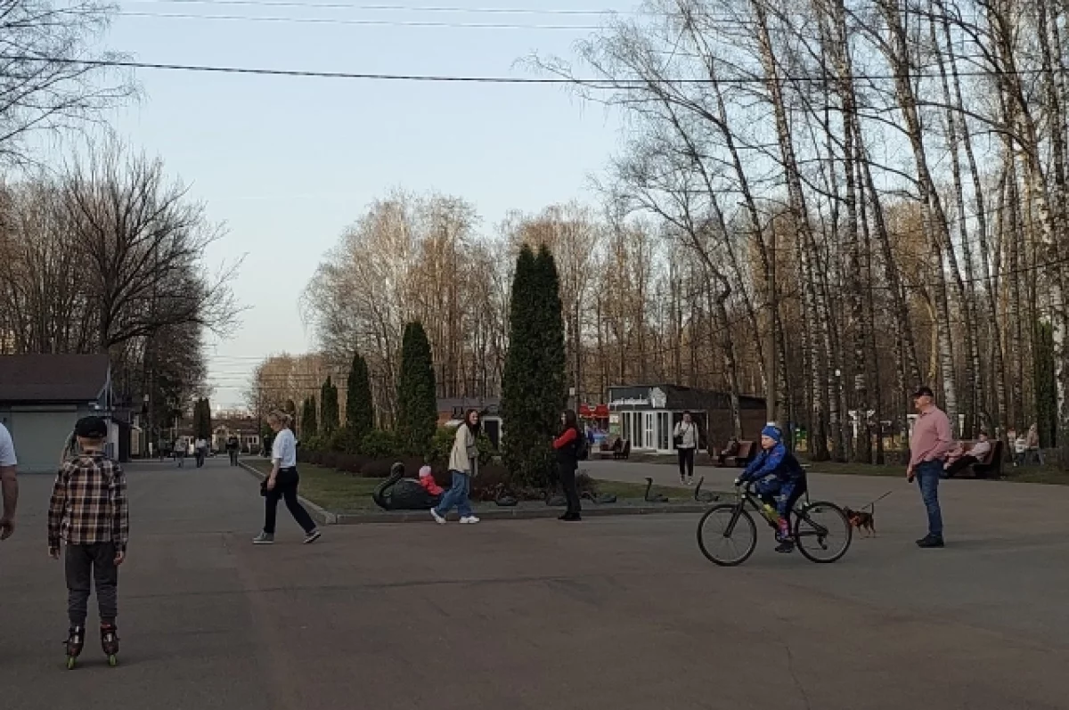Большой детский городок в Белоусовском парке Тулы закроют на два дня