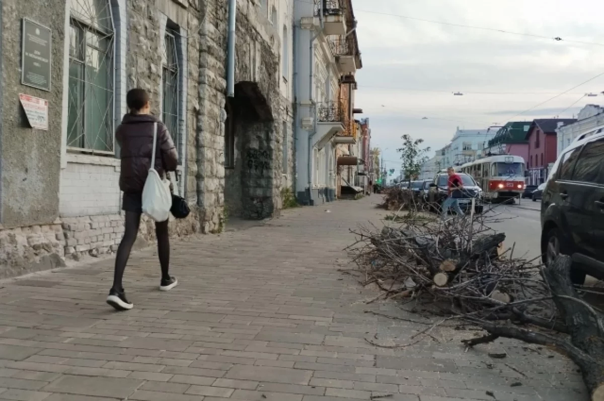 В Самаре готовятся вырубить деревья на семи улицах и в трех поселках