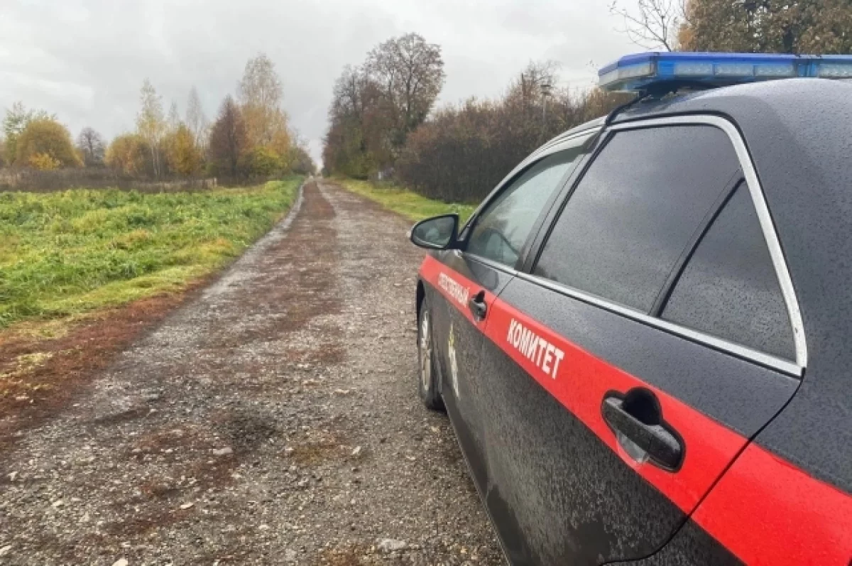 Туляк заключён под стражу за покушение на убийство с топором