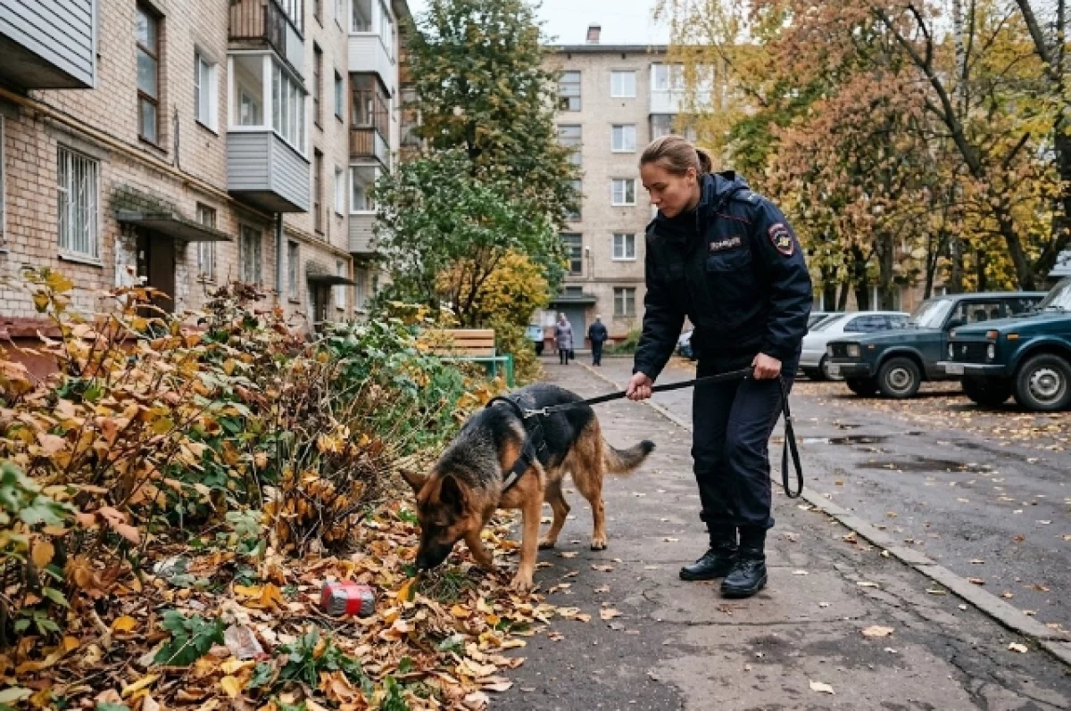 Белые кристаллы в красной изоленте нашла собака у хабаровского автомеханика