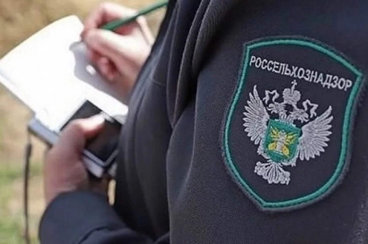 В Псковской области не пропустили 13,5 тонны мороженого из Швейцарии