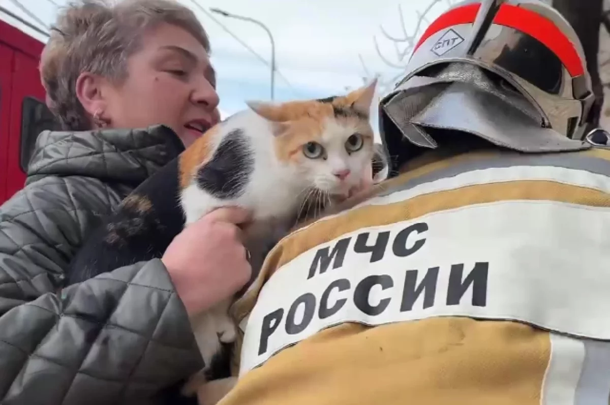 Пенсионерку и домашних животных спасли из горящей пятиэтажки в Биробиджане