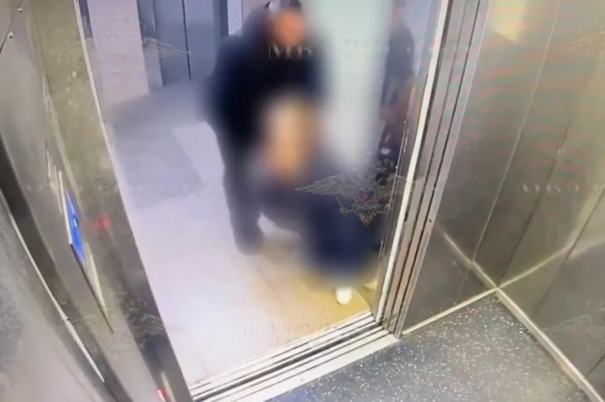 МВД опубликовало видео с похищением девочки в Петербурге