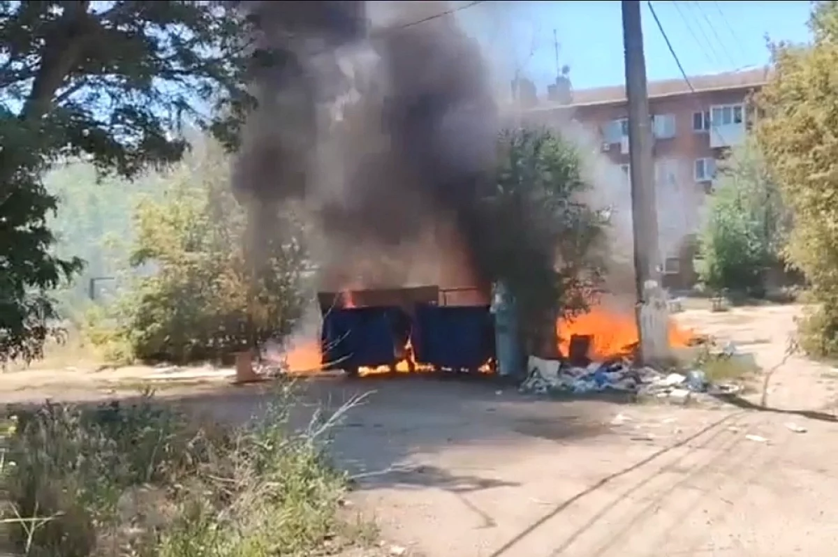 Под Волгоградом поселок захватили крысы и свалки