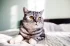 e3f933106578a4e260172f5d0e62920f.webp