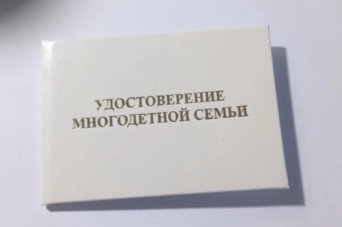 Число наград многодетным семьям увеличили в Забайкалье