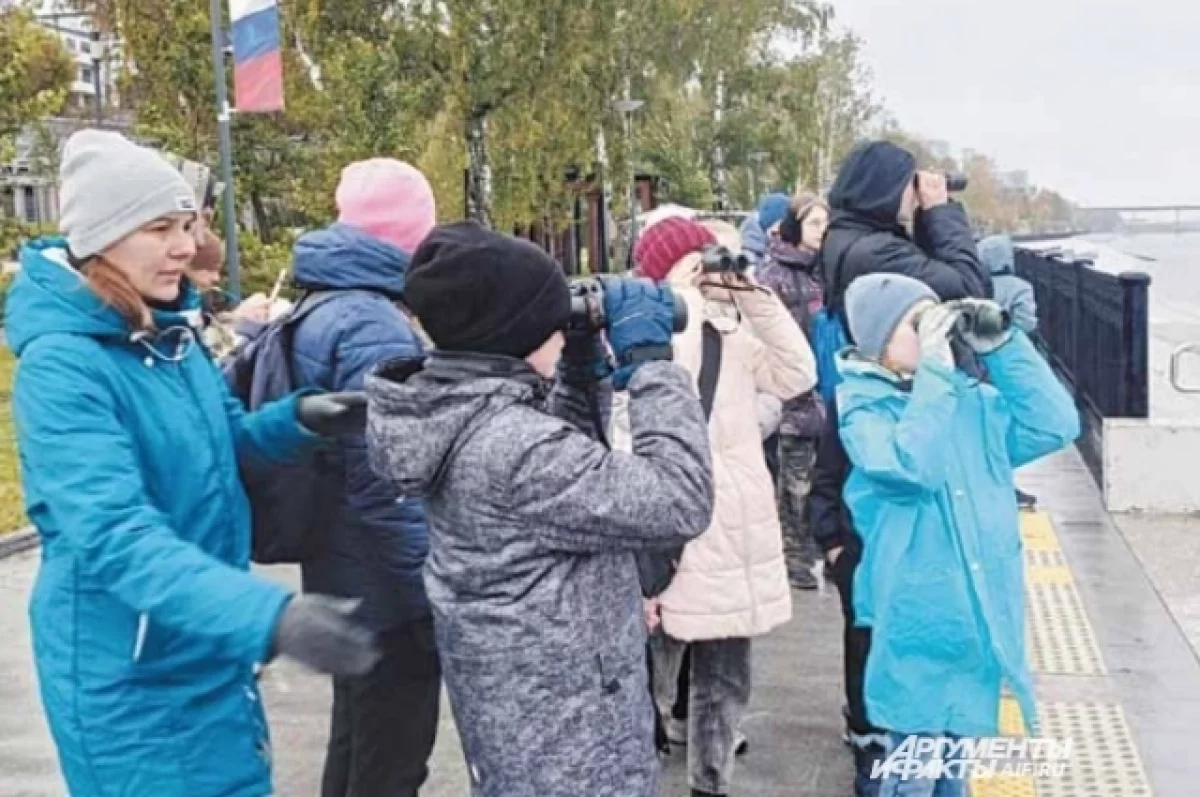 Что происходит с редкими птицами Прикамья