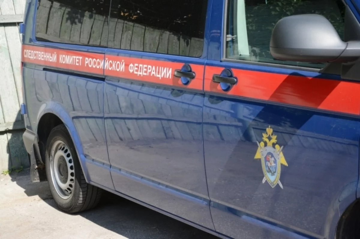 На орловского блогера завели дело по подозрению в оскорблении полицейских