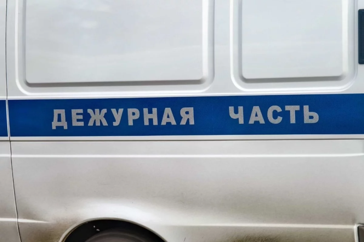 Жительница Ульяновска не вернула крупный долг и попала под уголовное дело