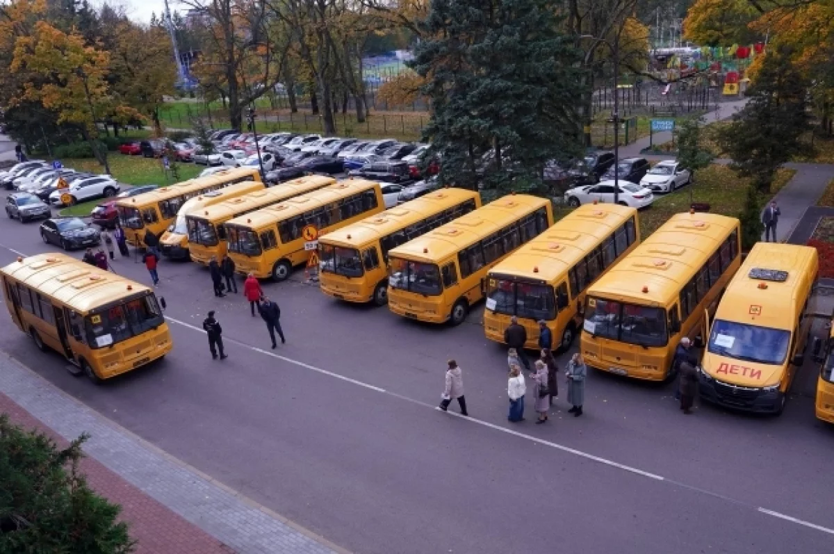 В Калининградской области школьный автопарк пополнили 23 автобуса
