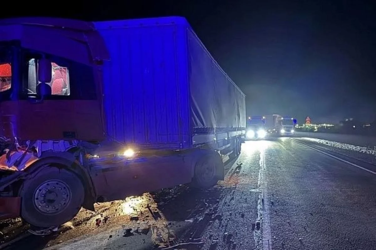 Лошадь спровоцировала ДТП с грузовиками на трассе в Бурятии
