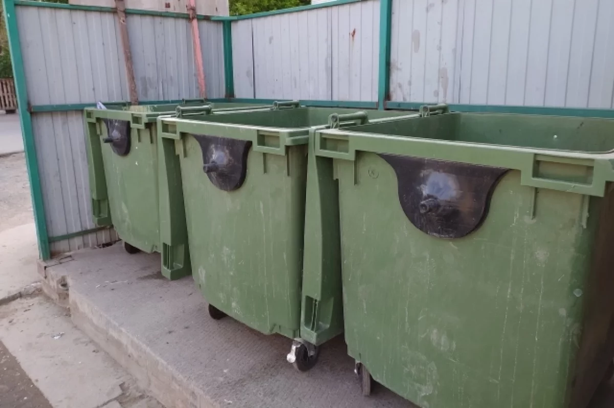 Камеры на мусорных контейнерах помогли выявить более 1,2 тыс нарушений