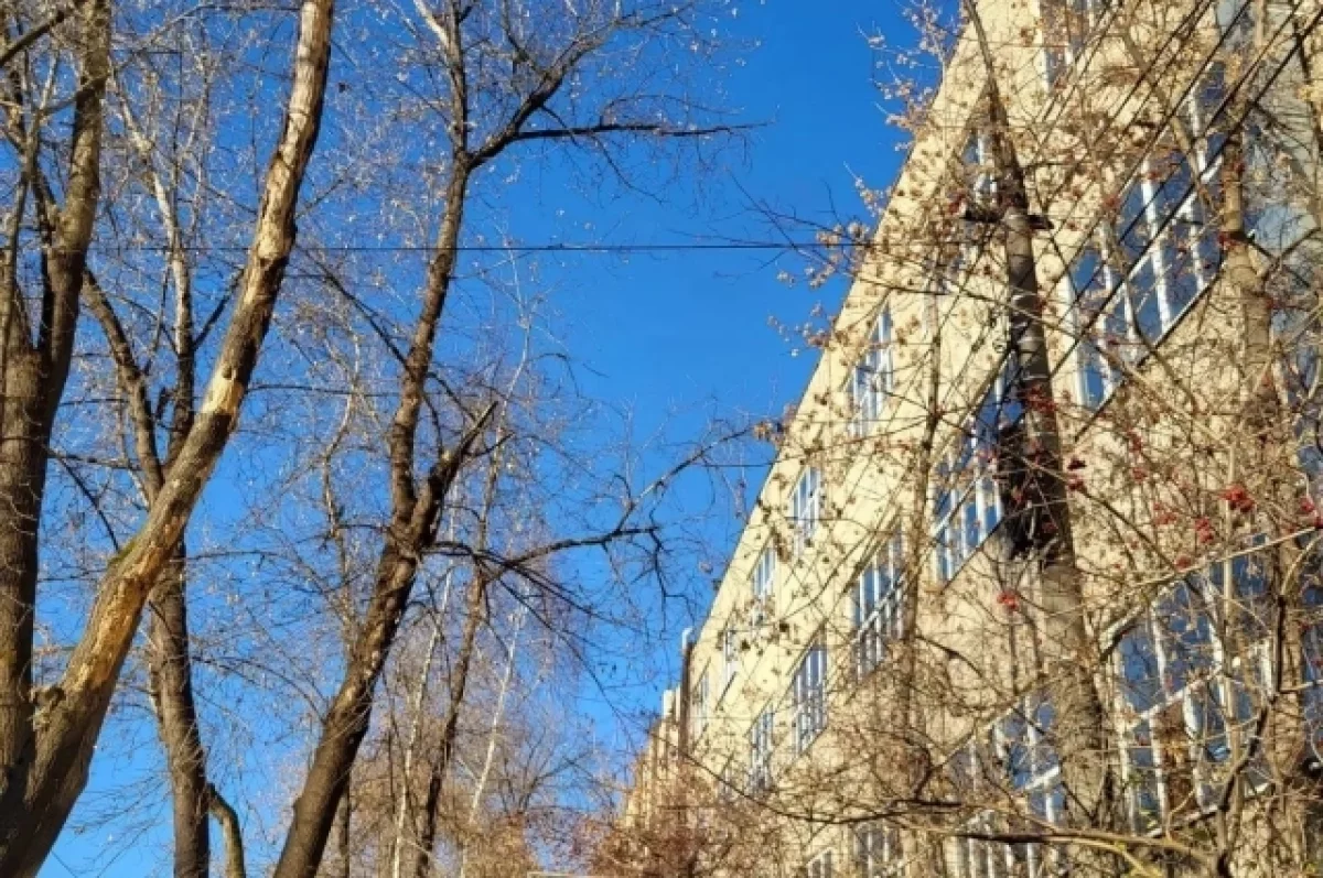 В Перми на улице Данщина решили проблему с деревом, упавшим на ЛЭП