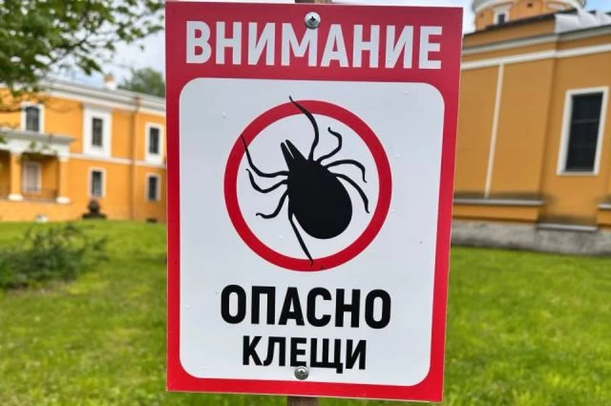 В Томской области зафиксировали летальный случай от клещевого энцефалита