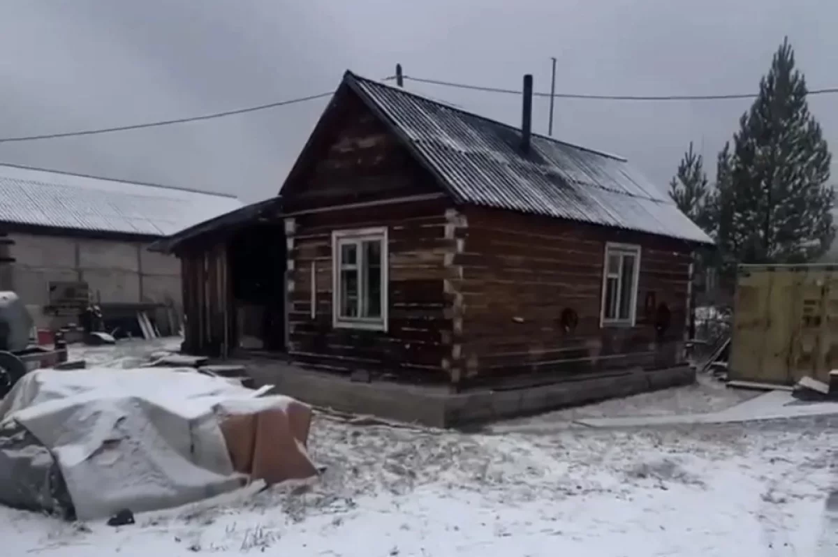 СК выясняет причины гибели мужчины при нападении медведя под Богучанами