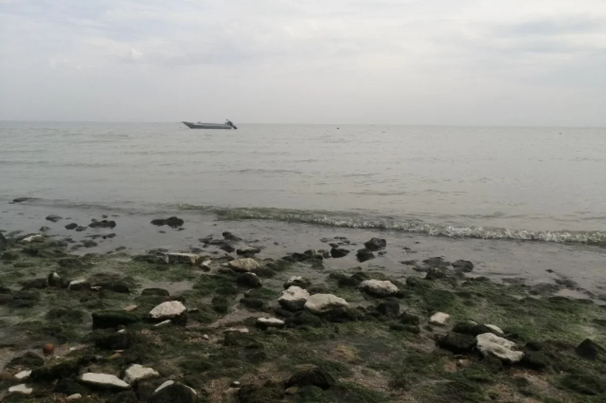 Учёные ЮНЦ РАН нашли микропластик на дне Азовского моря