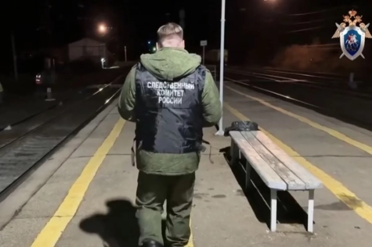 Женщина пострадала в ДТП с электричкой в Нижегородской области