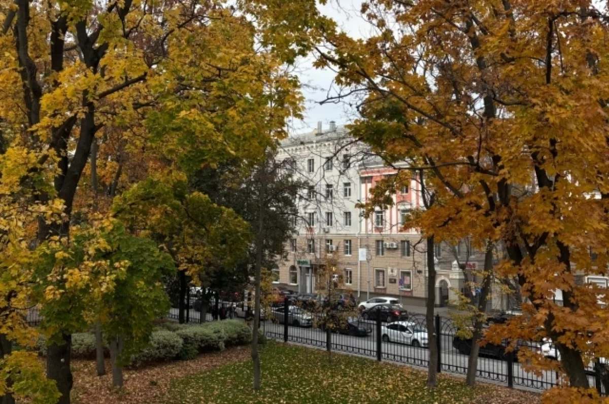 До +1° похолодает в Воронежской области в предстоящие выходные