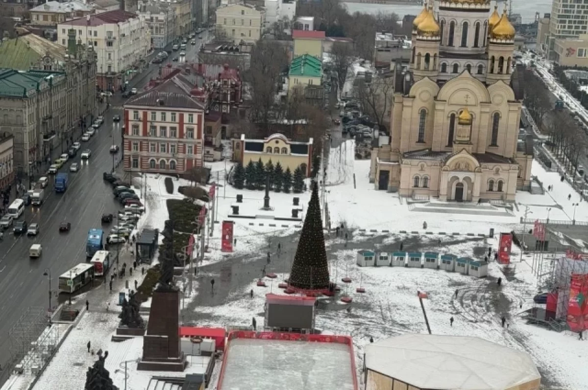 Во Владивостоке 20-метровую ель «Суперлайт» установят до 17 декабря