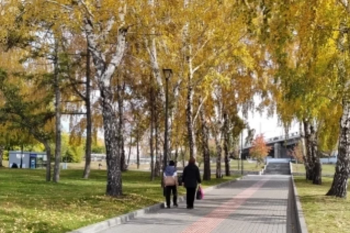 Новосибирск вошел в десятку популярных городов России для отдыха в ноябре