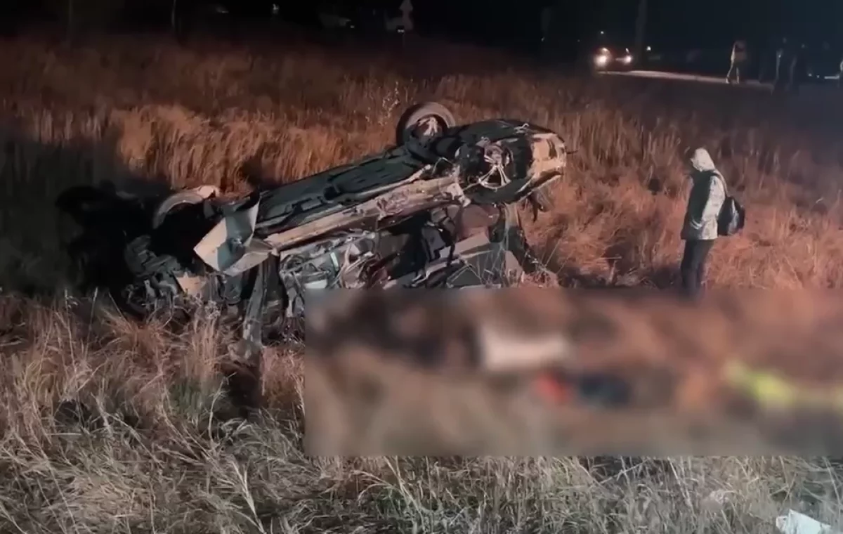 На переезде в ЕАО столкновение микроавтобуса с поездом погибли 6 человек