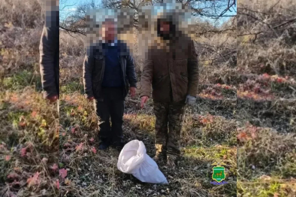 Шестеро мужчин приехали за коноплёй в ЕАО и попались полиции