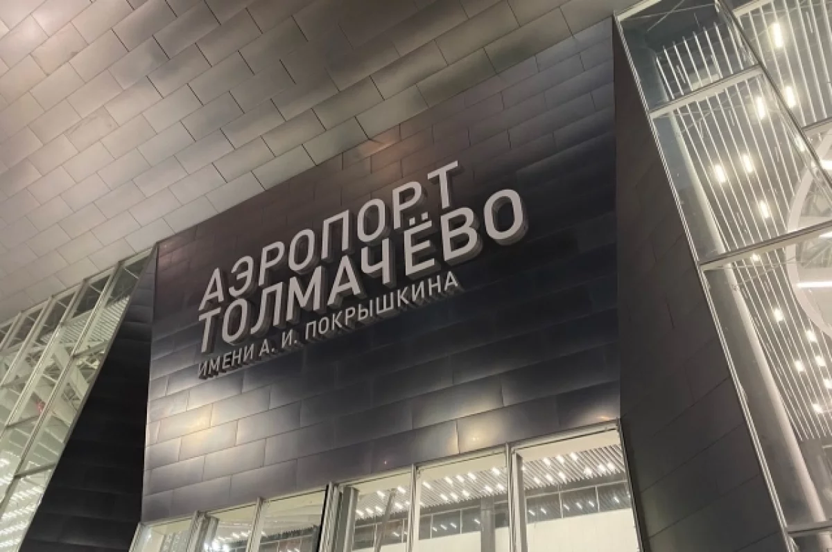 В Толмачево отменили четыре рейса и задержали еще 12 самолетов 25 октября