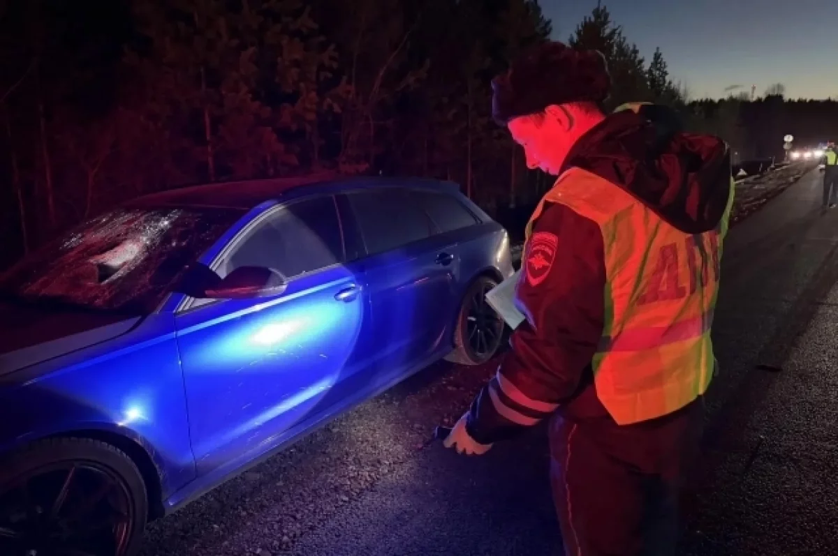 На Урале водитель Audi насмерть сбил дедушку, перебегавшего трассу